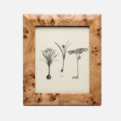 Narvik Frame
