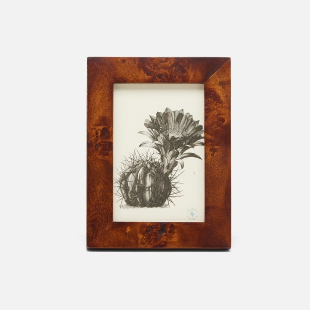 Nelson Frame