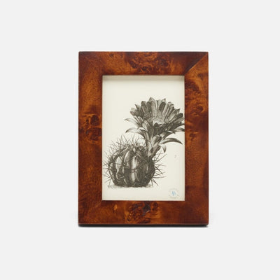 Nelson Frame