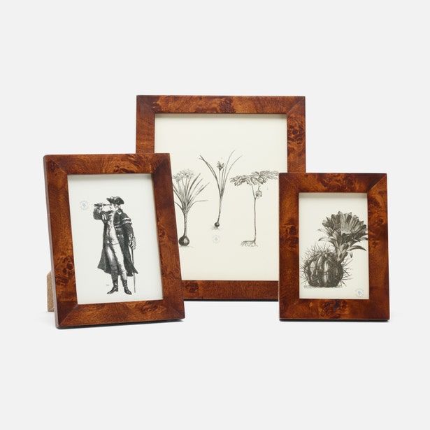 Nelson Frame