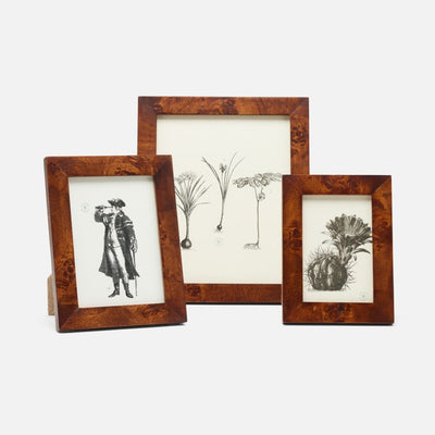 Nelson Frame