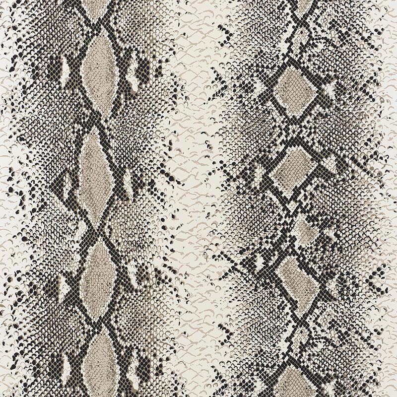 Snake Charmer in Cinder Sample