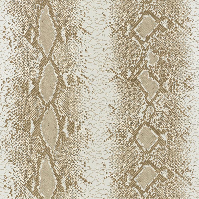 Snake Charmer in Sand Sample
