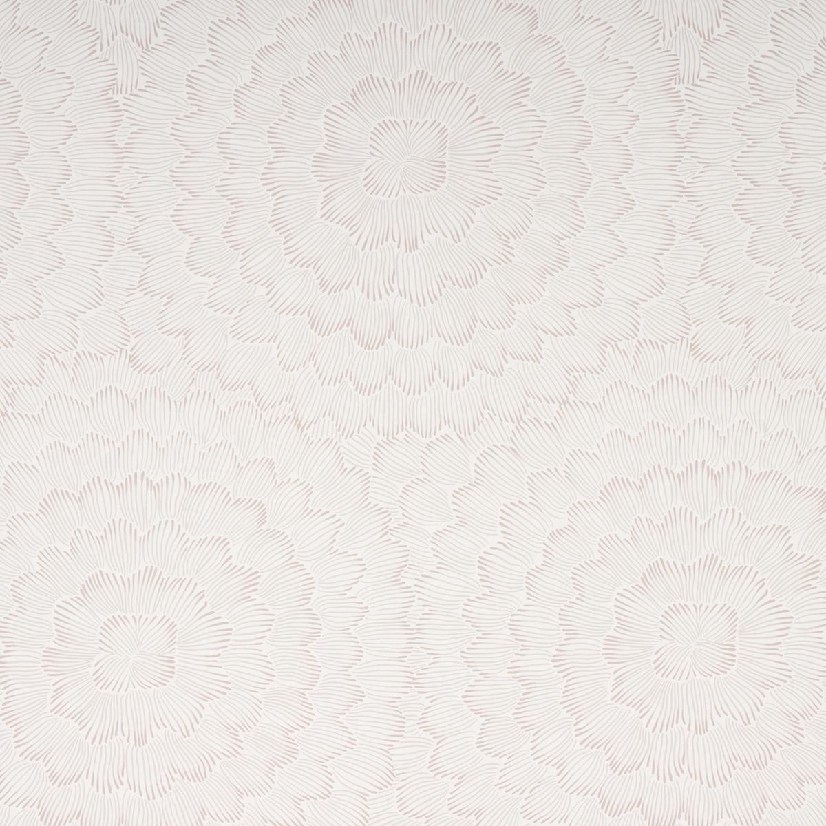 Feather Bloom in Soft Neutral Sample
