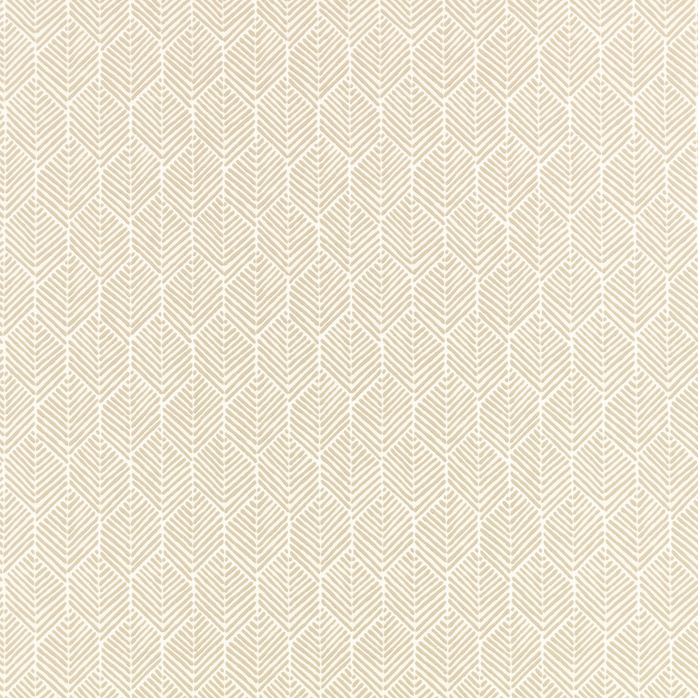 Arrow Points to You Wallpaper