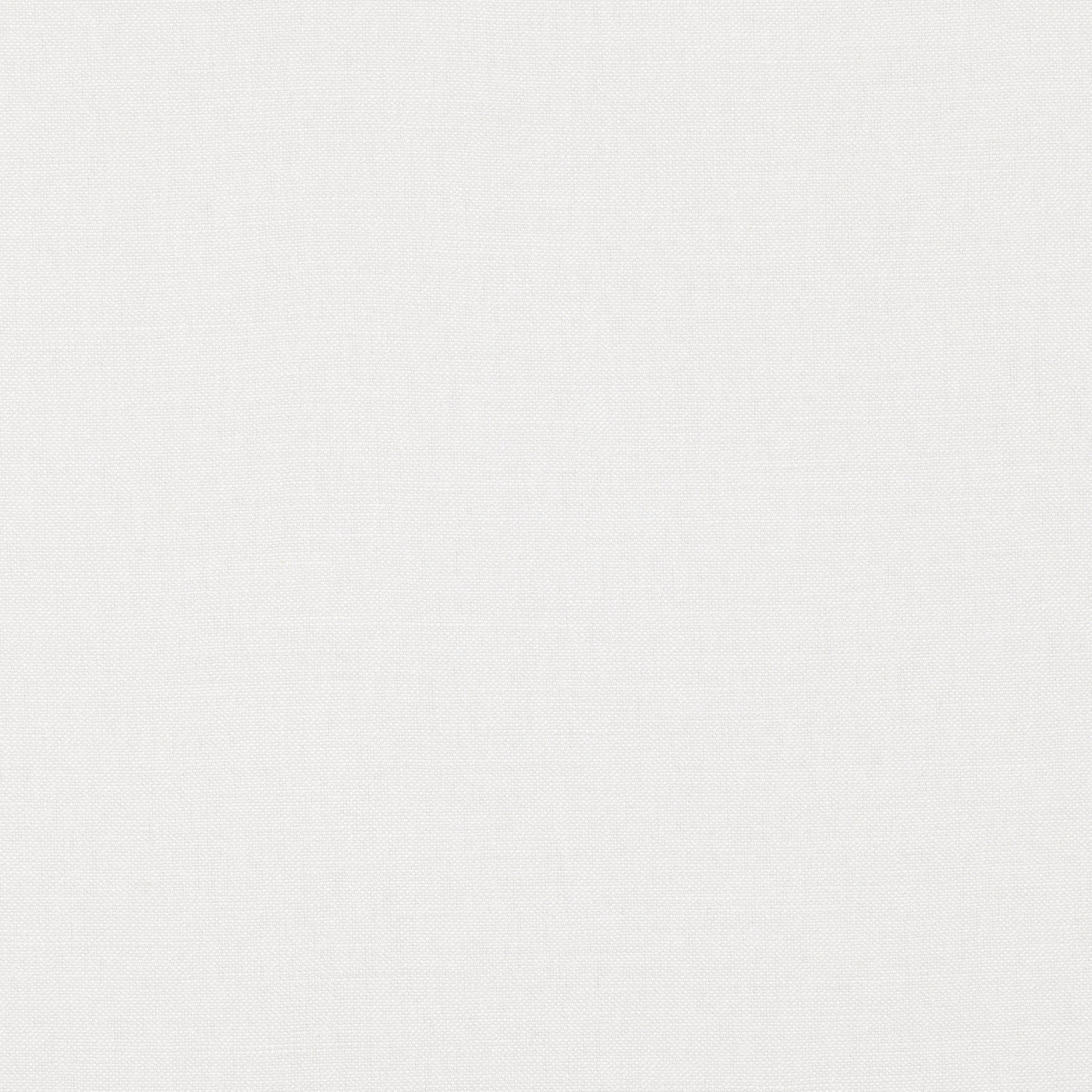 Color_Brume