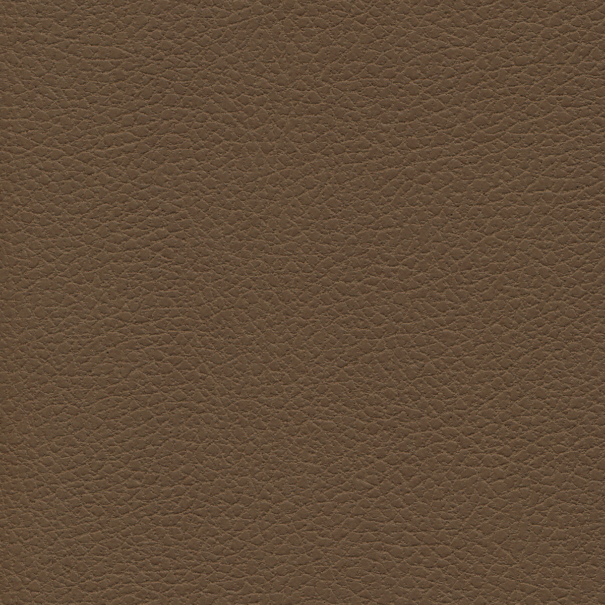 Cognac Vinyl Sample