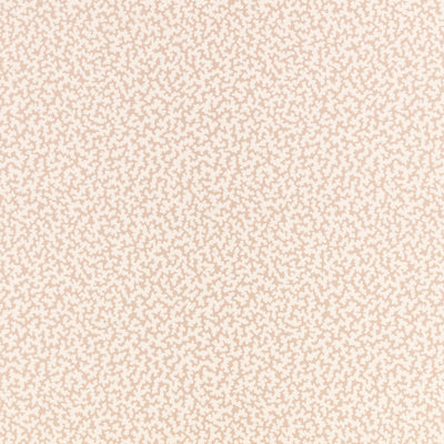 Coral Wallpaper