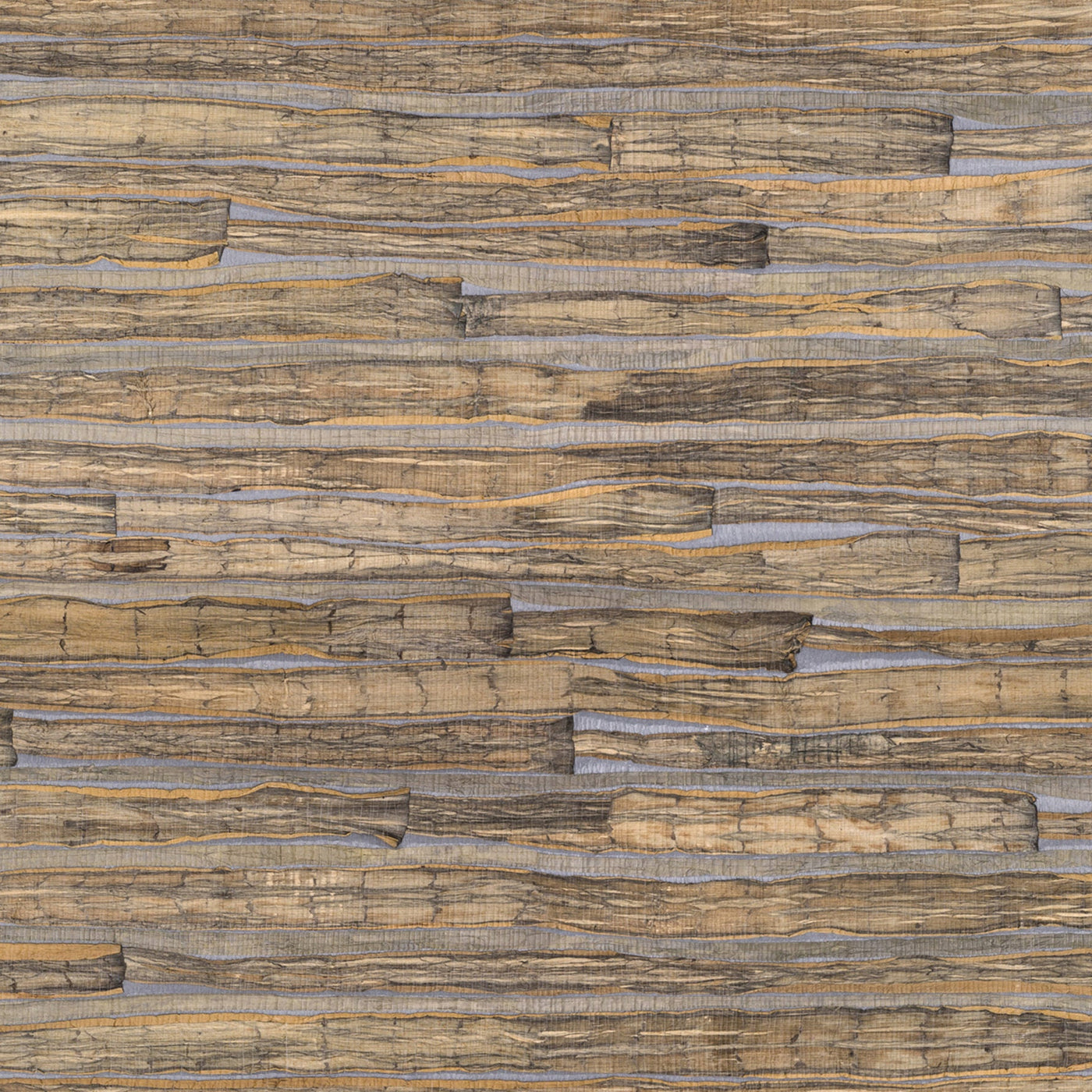 Desert Trails Wallpaper