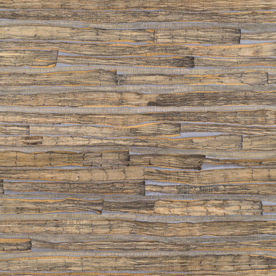 Desert Trails Wallpaper