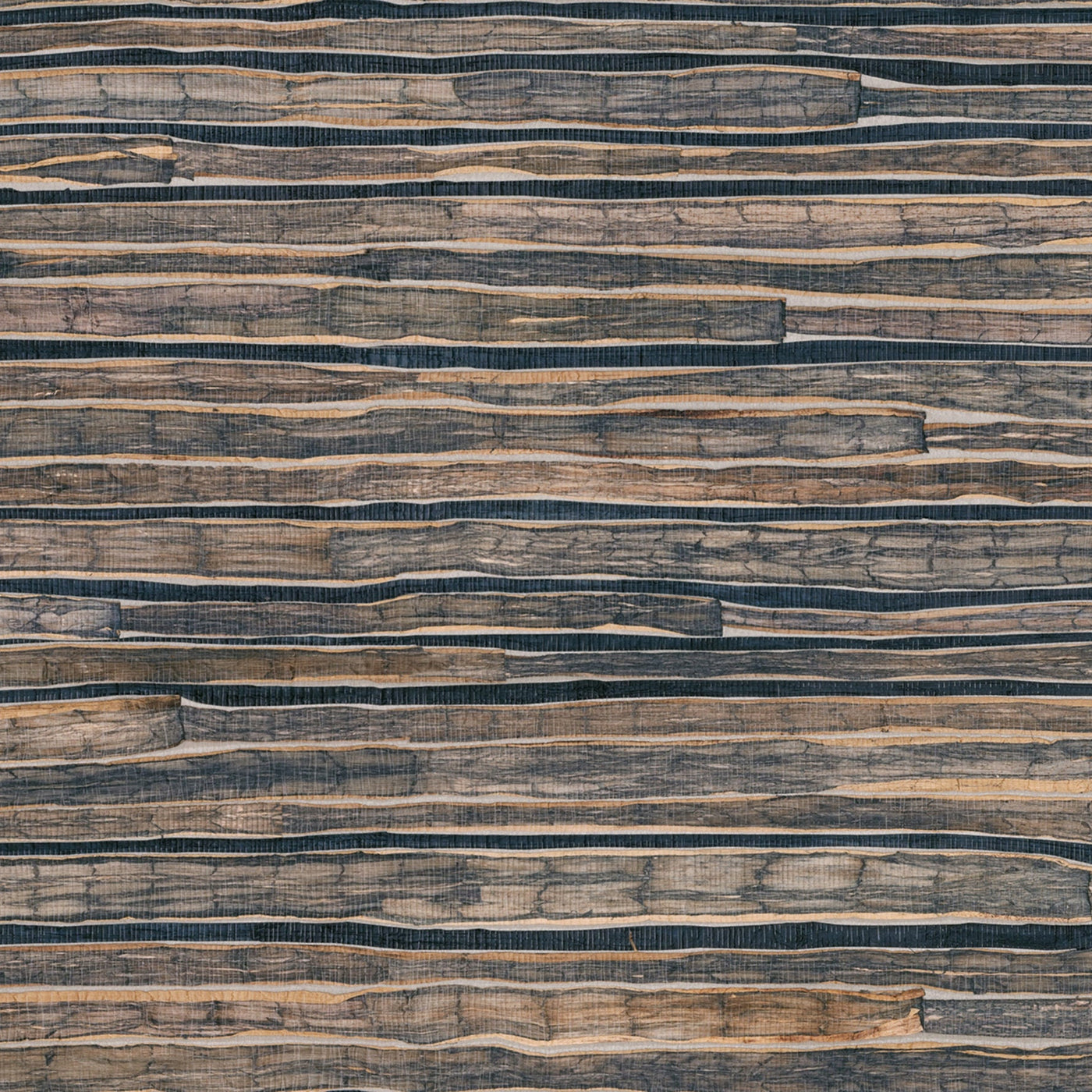 Desert Trails Wallpaper