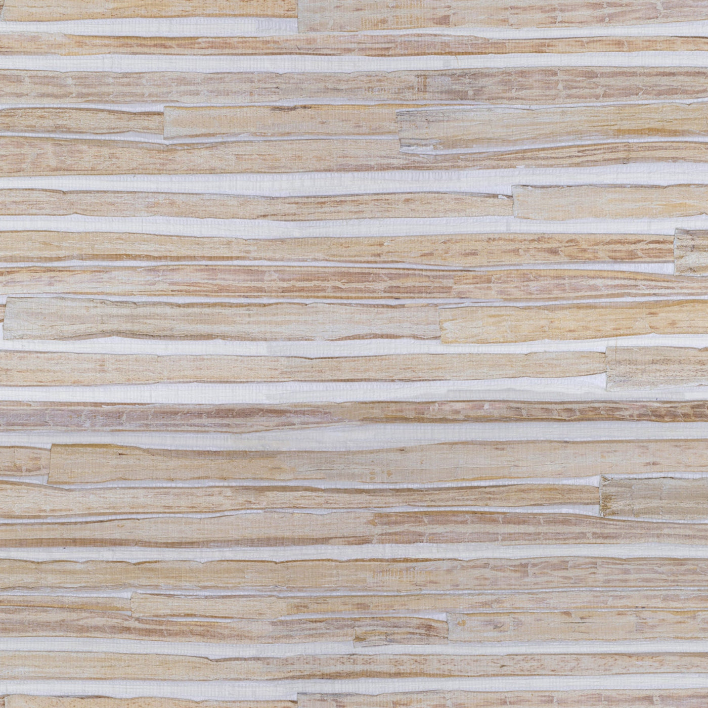 Desert Trails Wallpaper