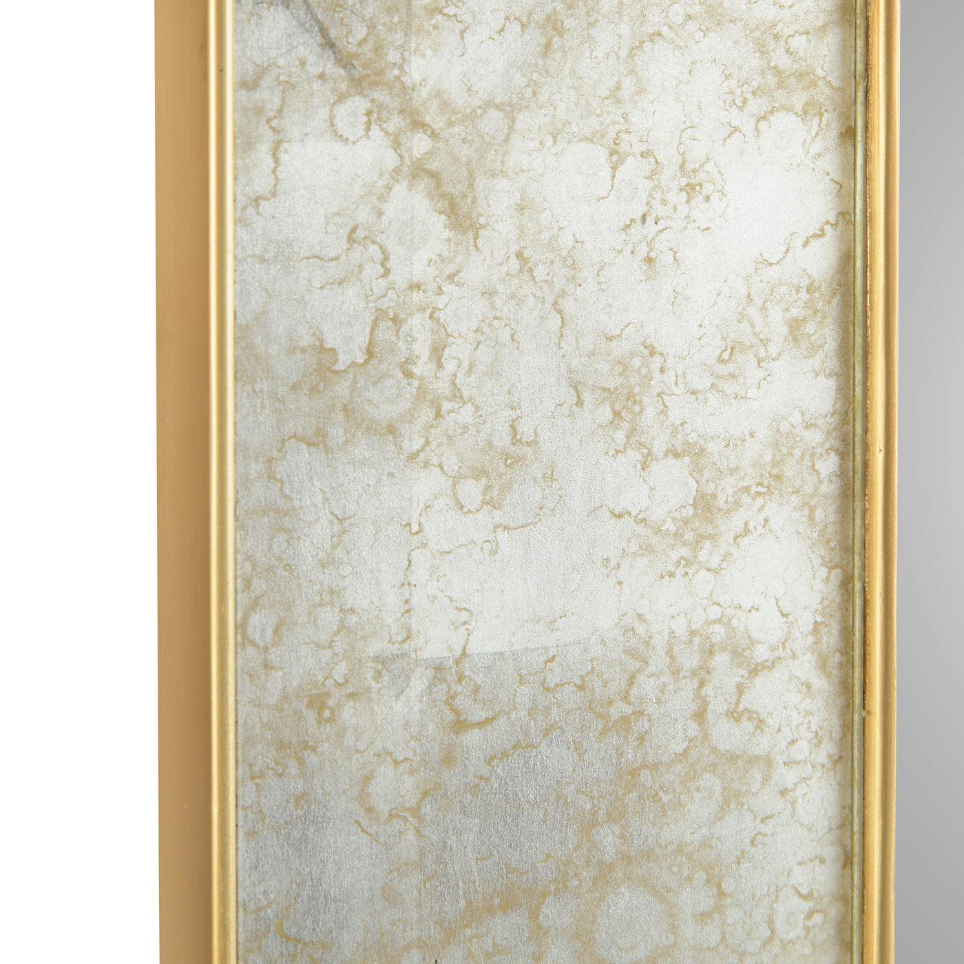 Adelaide Mirror