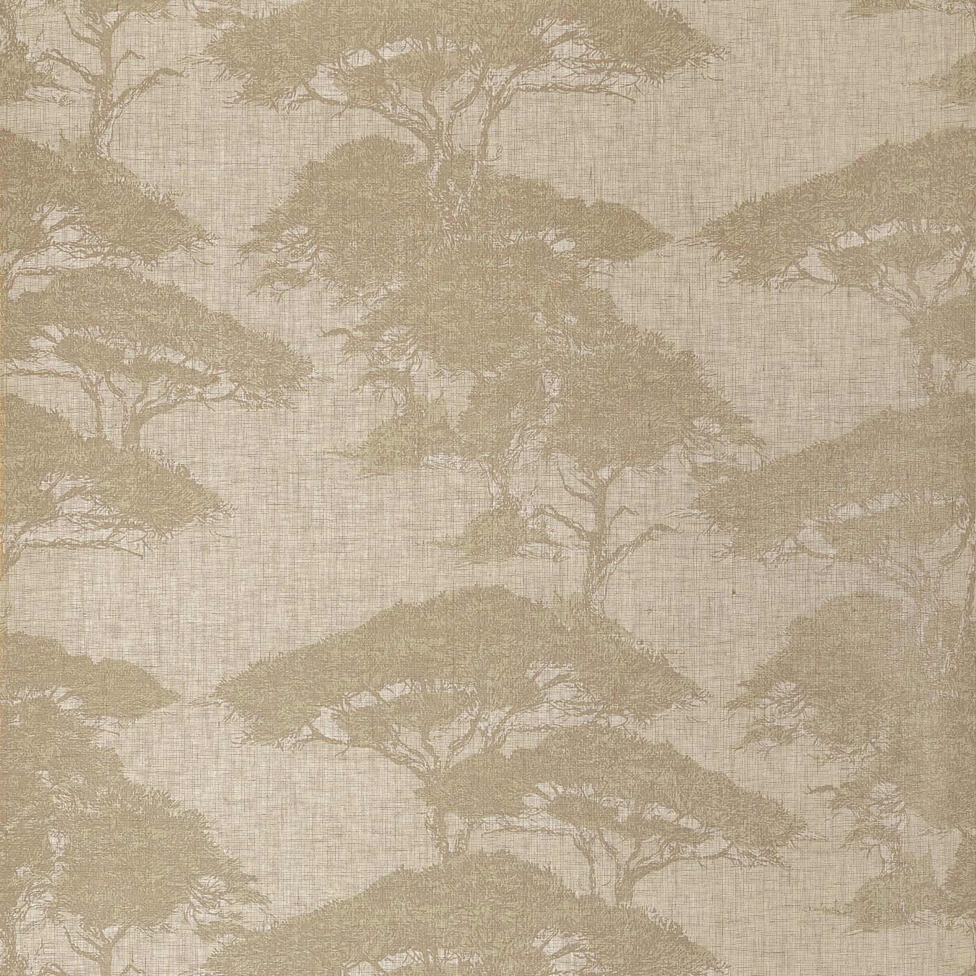 Lined with Trees Wallpaper