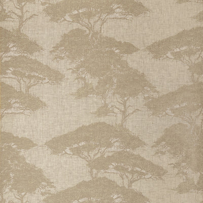 Lined with Trees Wallpaper