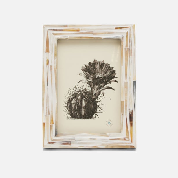 Winslow Frame