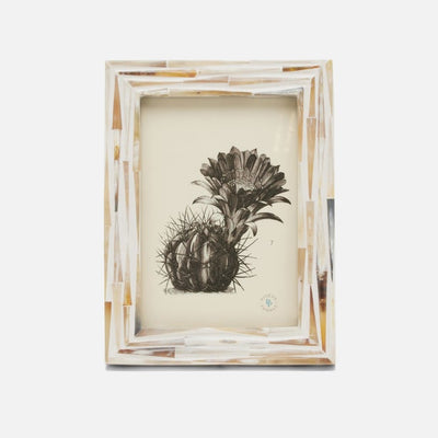 Winslow Frame