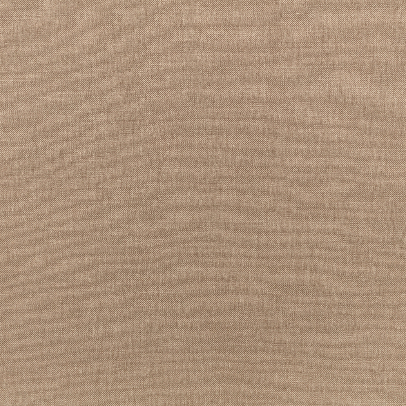 Color_Praline