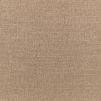 Color_Praline