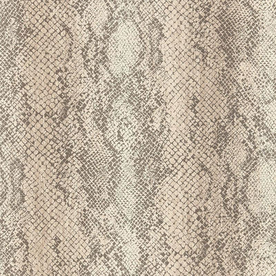 Cody Snakeskin